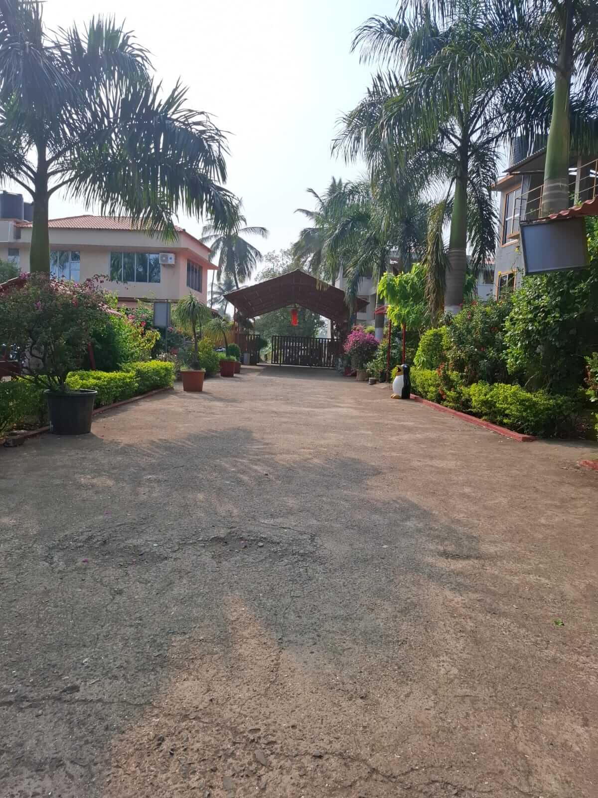 virar resort images 1